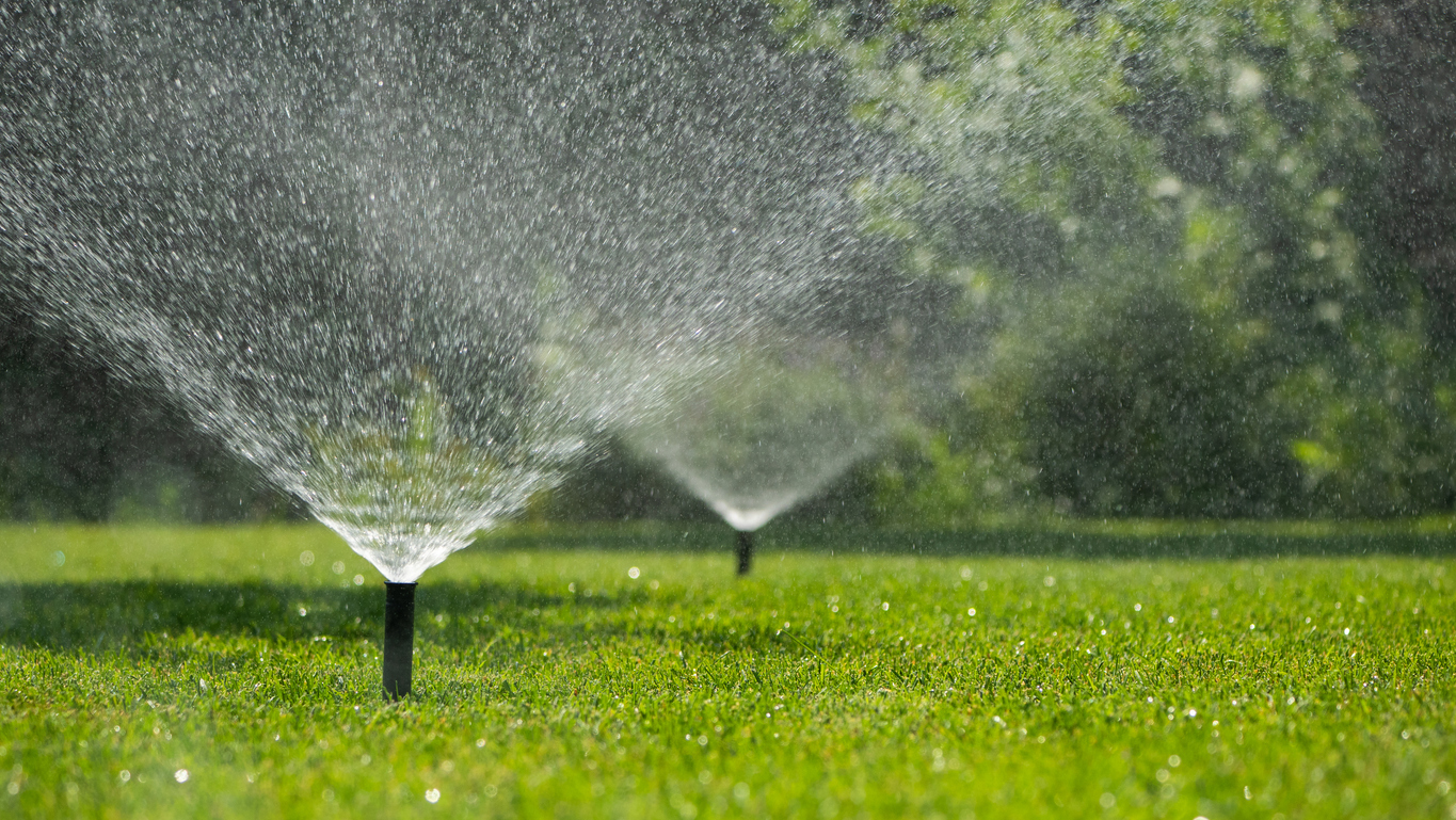 sprinklers in yard